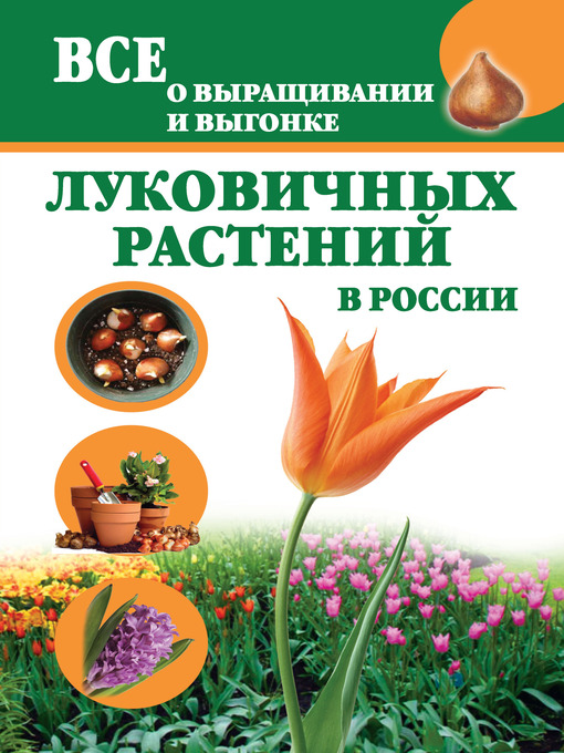 Title details for Все о выращивании и выгонке луковичных растений в России by Татьяна Александровна Литвинова - Available